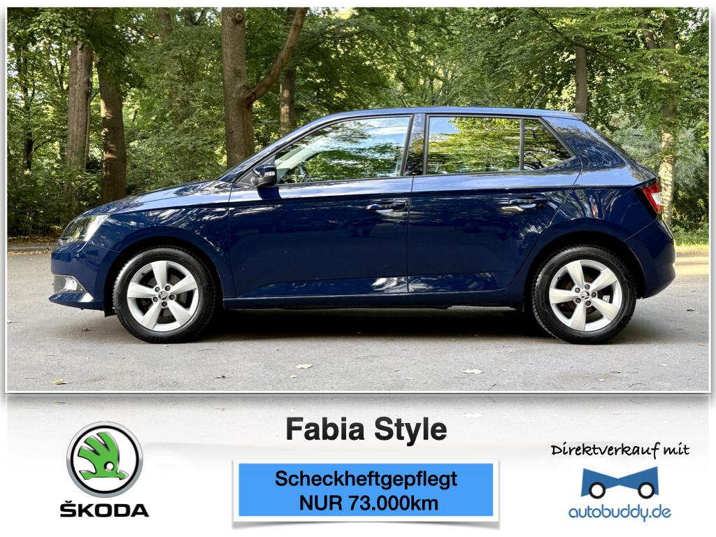 skoda fabia.001